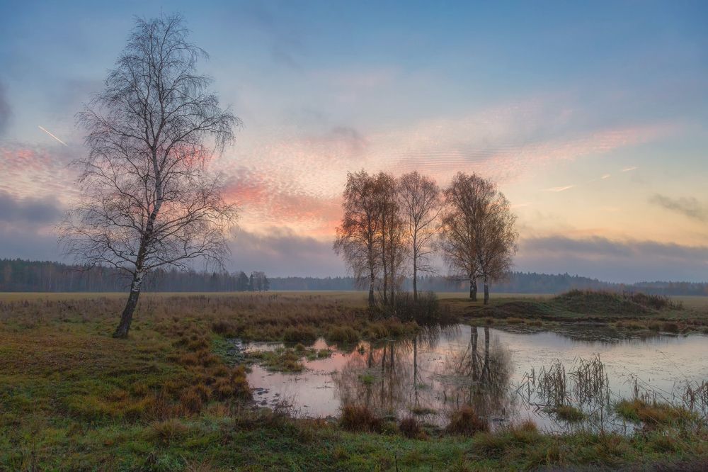 Фотография автора Евгений Ерохин