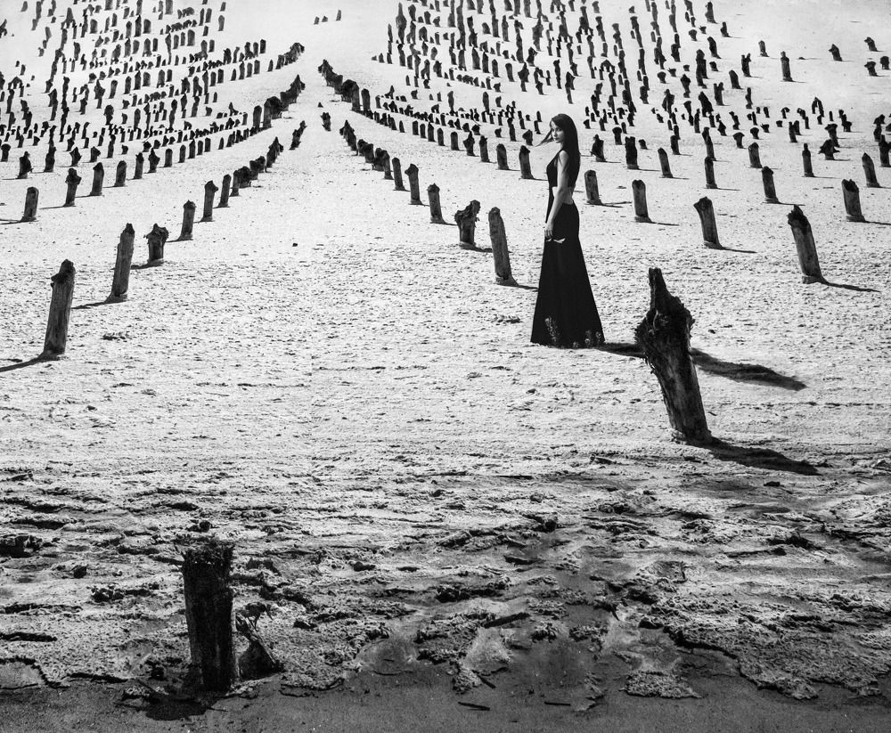 Photograph by Мария Буданова