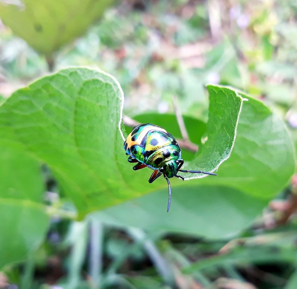 Фотография автора Venkatesh Rao
