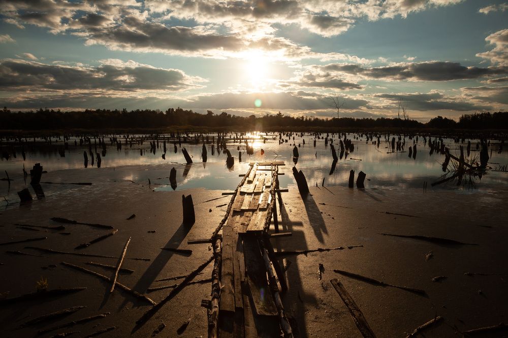 Photograph by Сергей Демидов