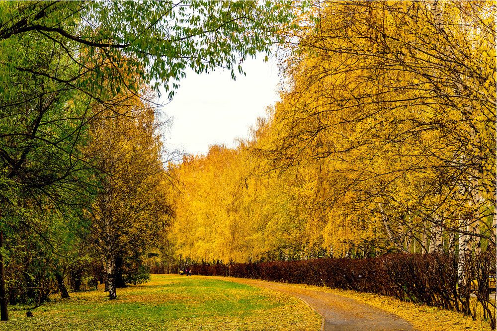 Photograph by Сергей Киселев