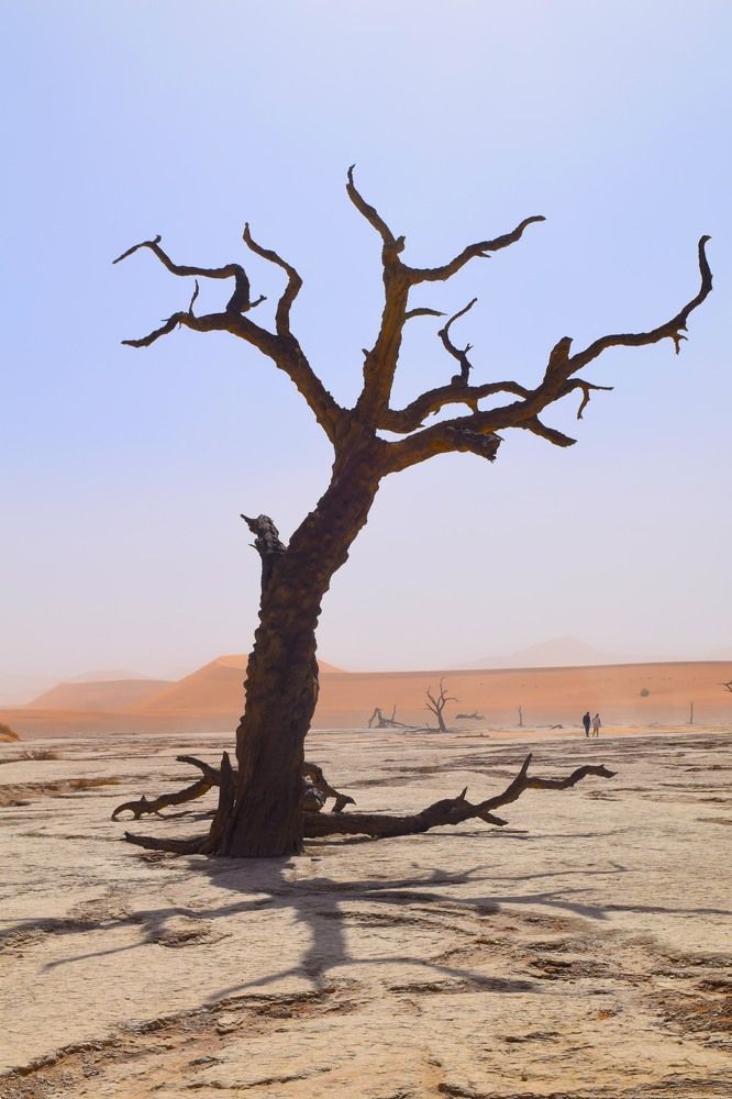 Photograph by Amanda van der Walt