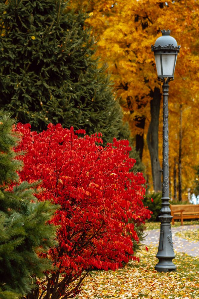 Photograph by Liudmila Kirillova