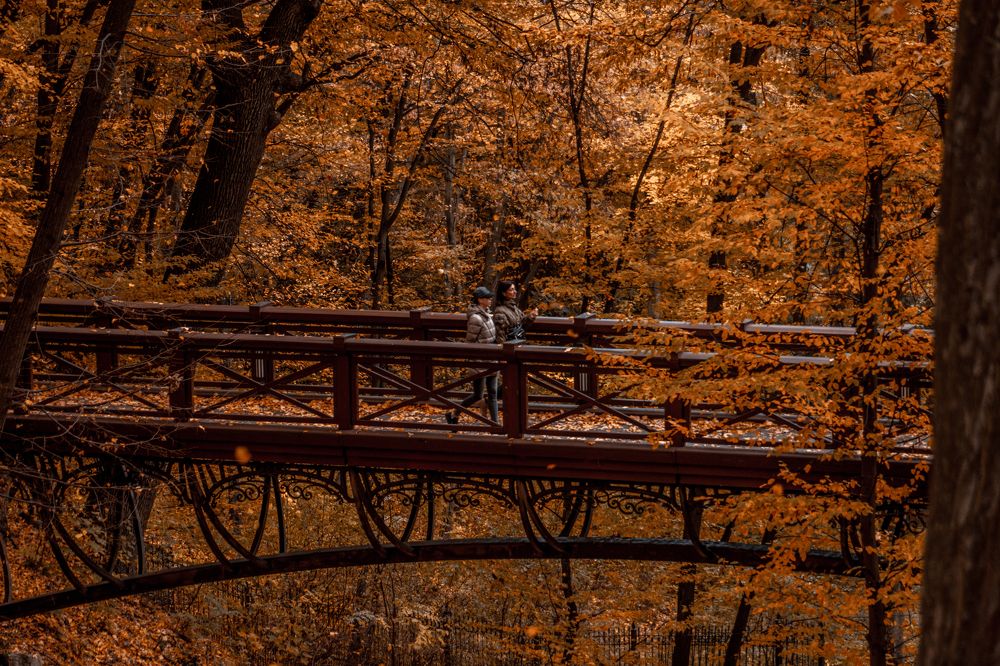 Photograph by Liudmila Kirillova