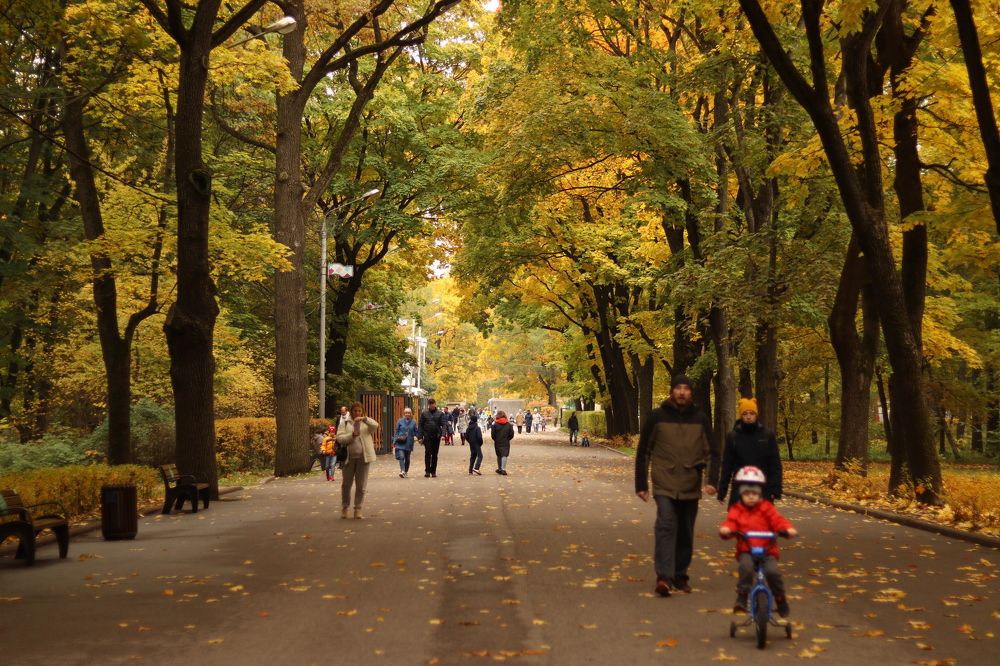 Photograph by Илья Соловьев