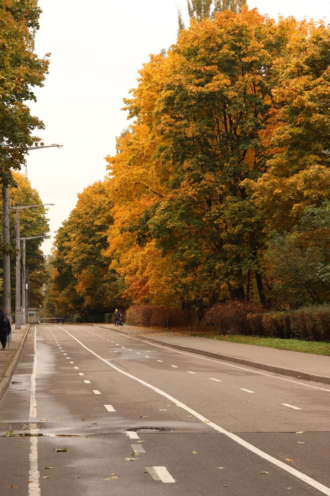 Photograph by Илья Соловьев