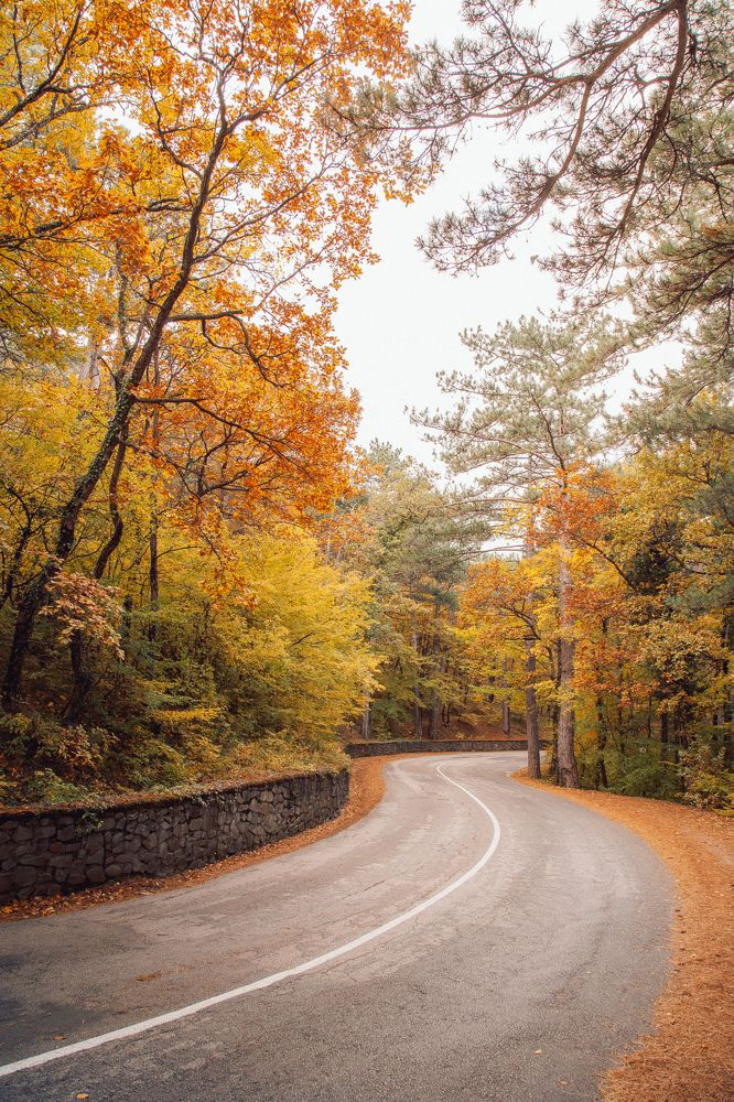 Photograph by Евгения Соловьева