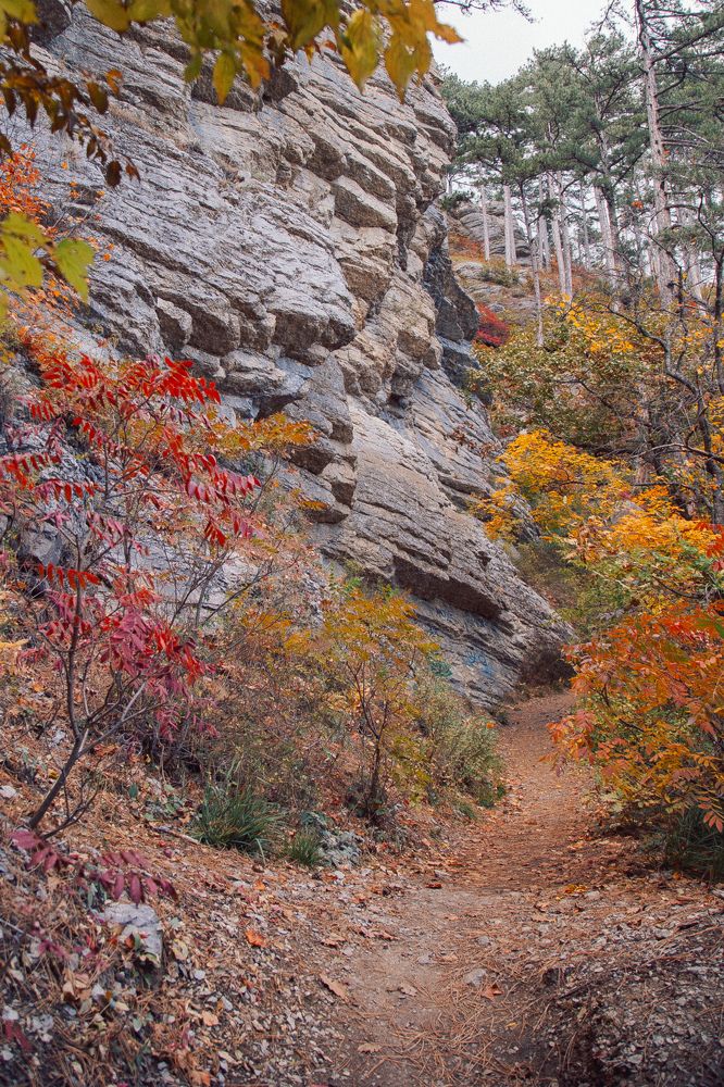 Photograph by Евгения Соловьева