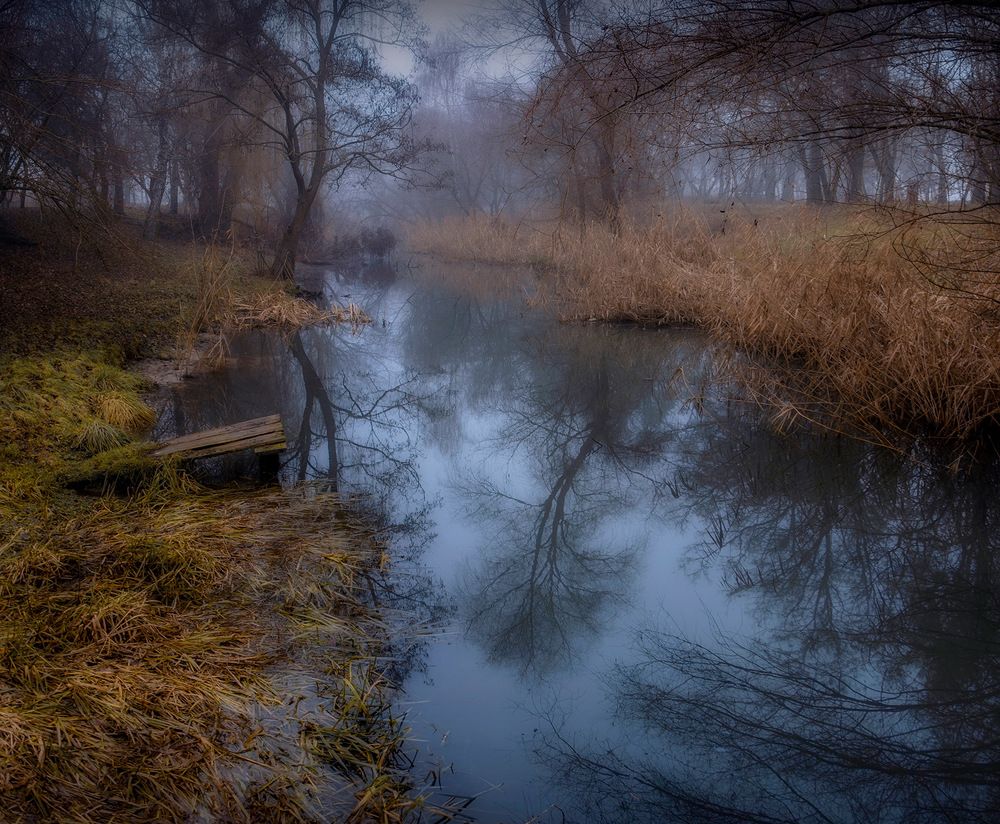 Photograph by Светлана Кравченко