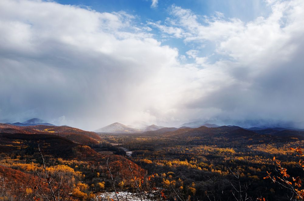 Photograph by Прохоров Денис