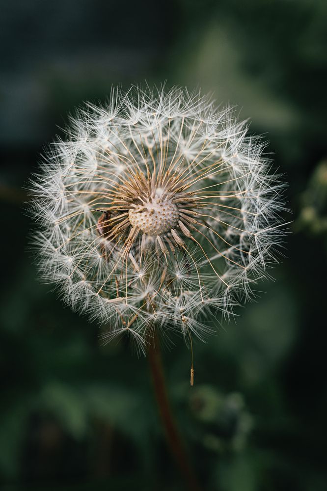 Фотография автора Анна Хабарова