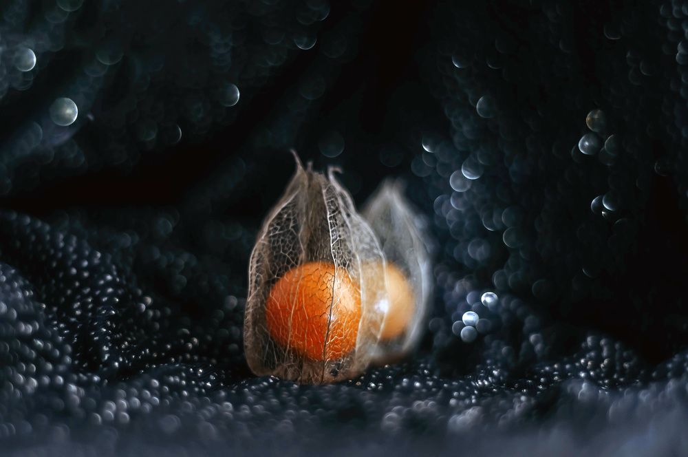 Photograph by Елена Мирзоева