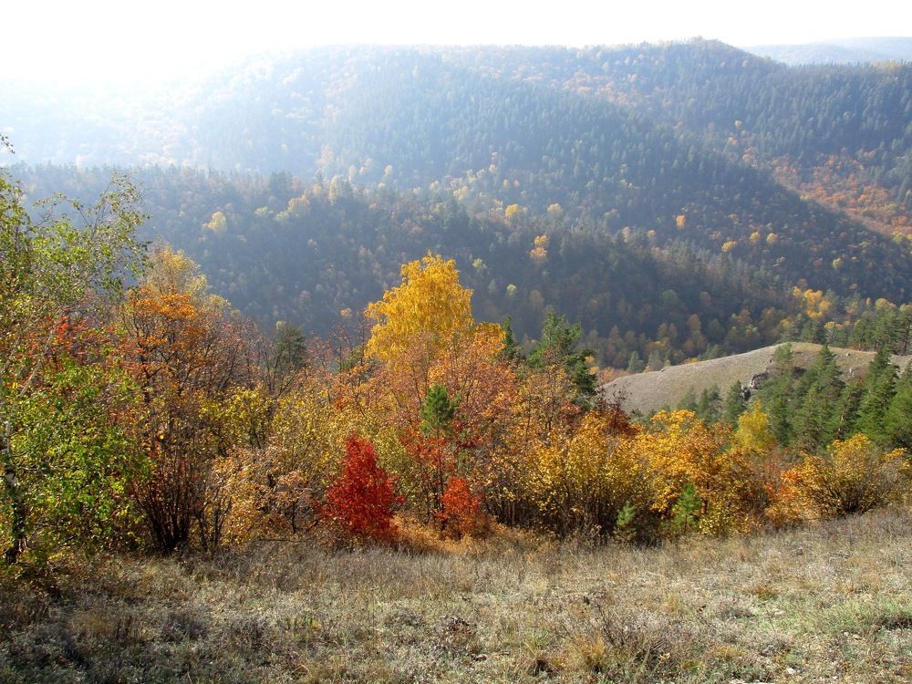 Photograph by Татьяна Иваненкова