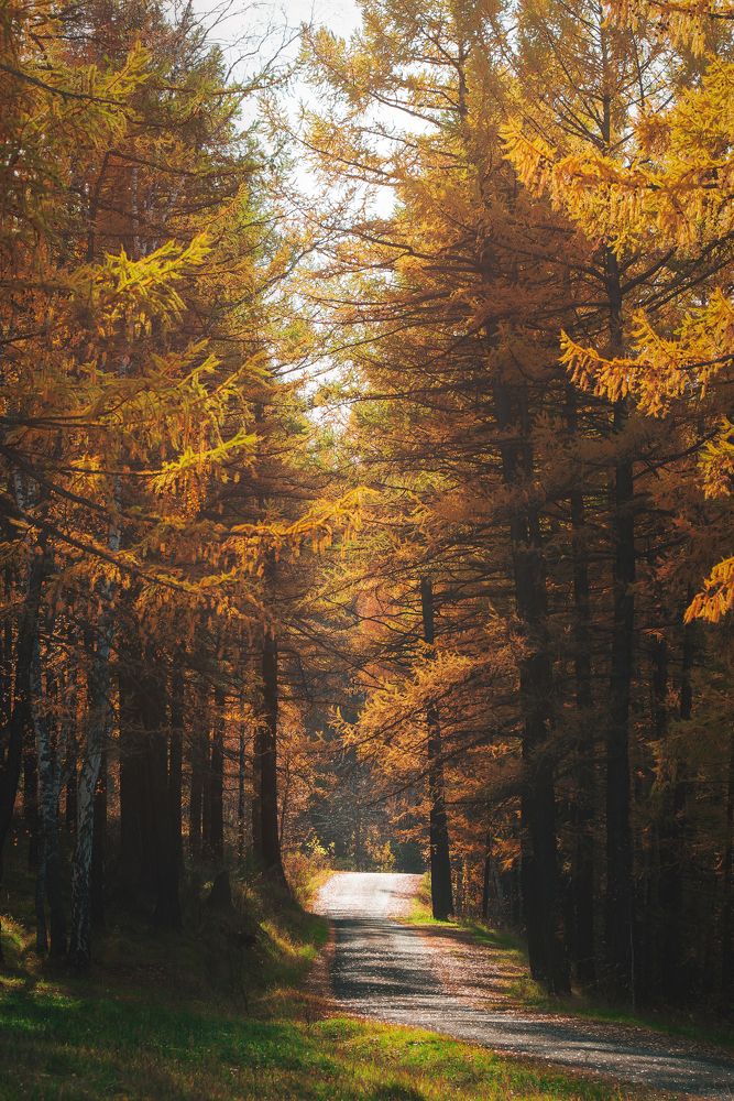 Photograph by Денис