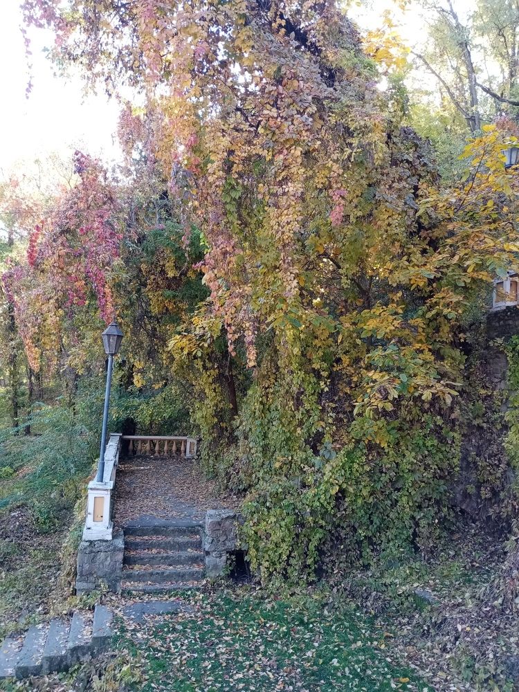 Photograph by Елена