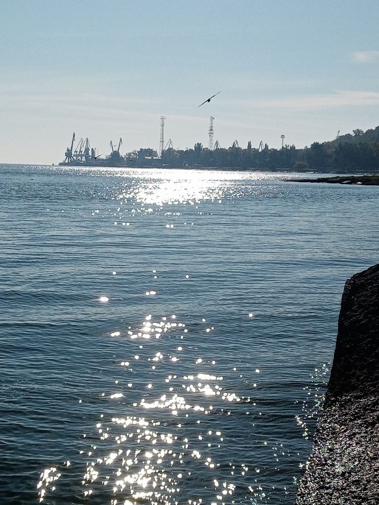 Photograph by Елена
