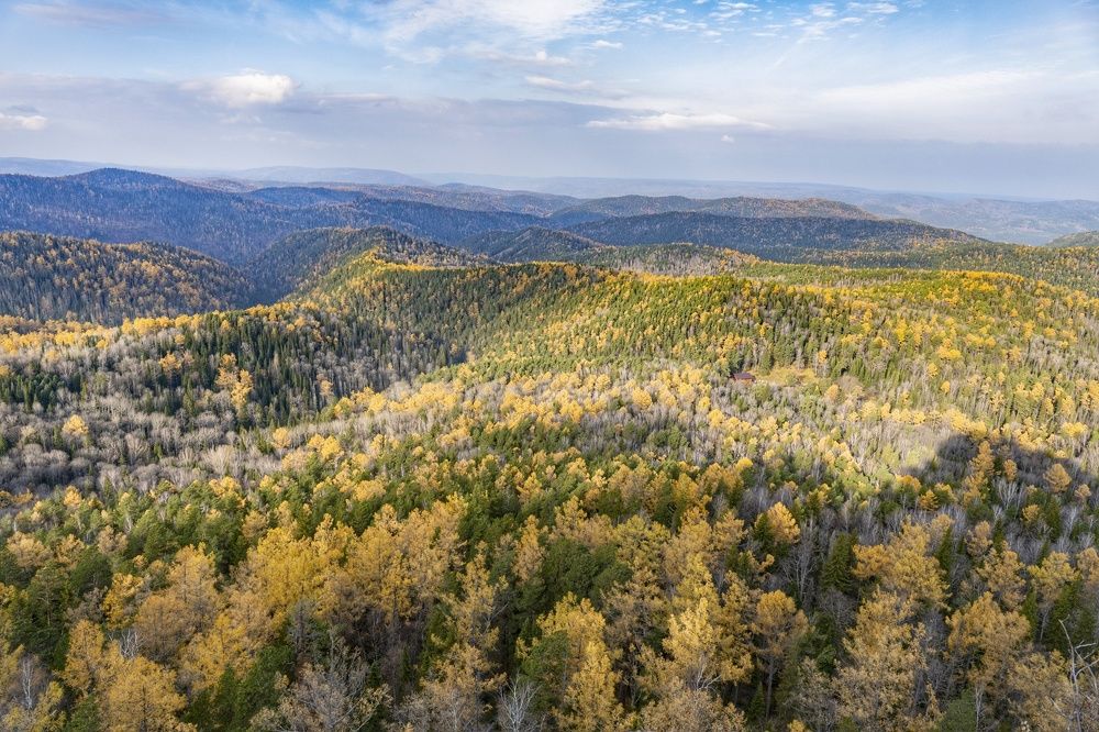 Photograph by Роман Достовалов