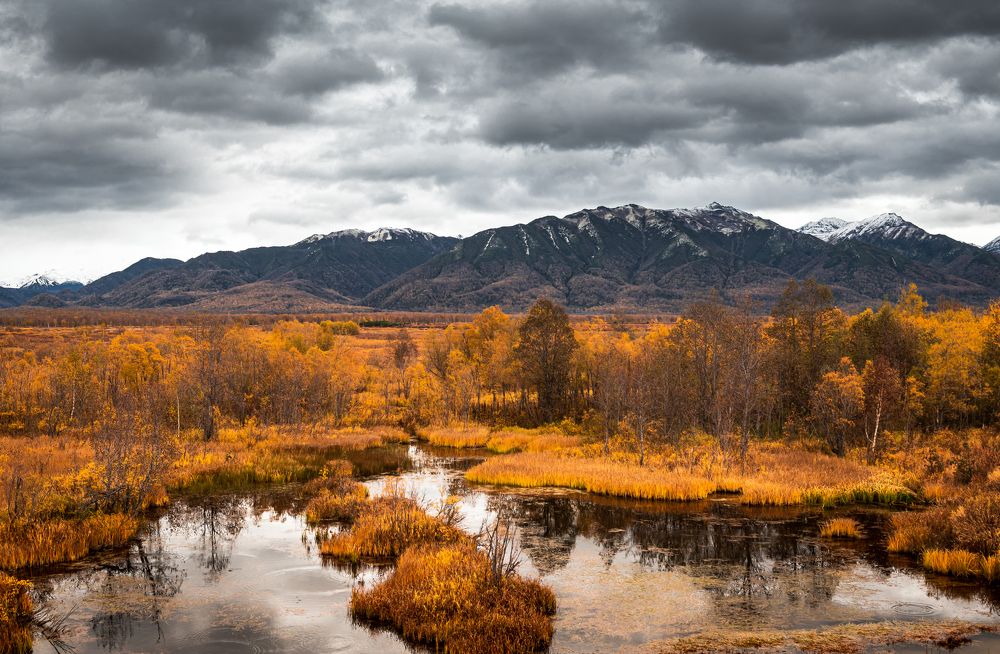 Photograph by Евгений Житников
