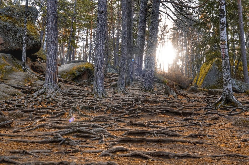 Photograph by Роман Достовалов