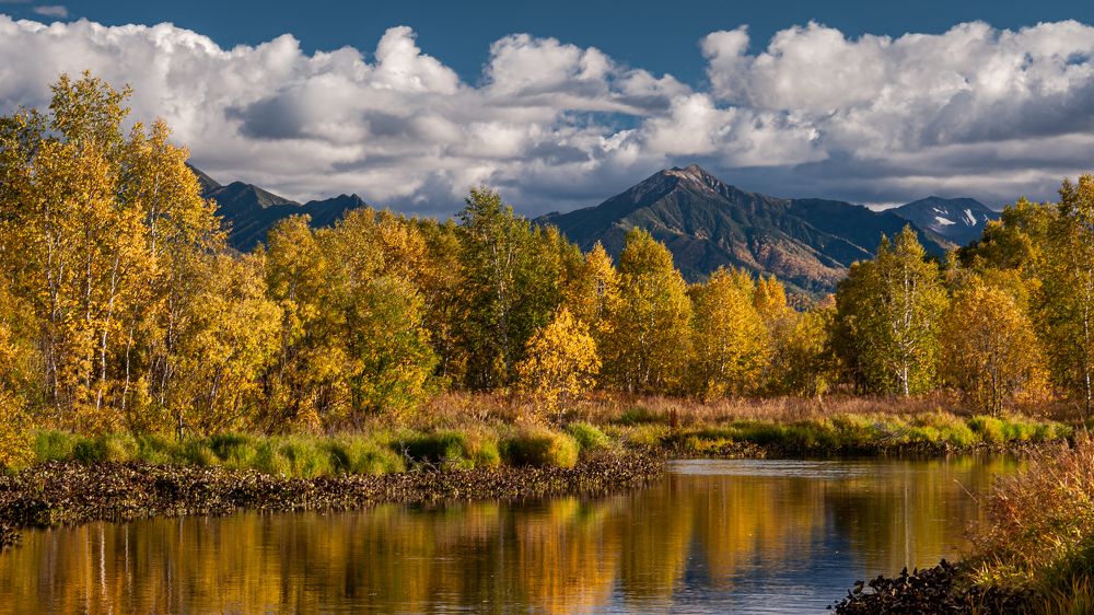 Photograph by Евгений Житников