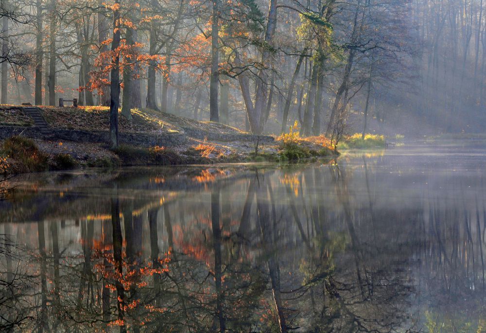 Photograph by Милокост Алексей