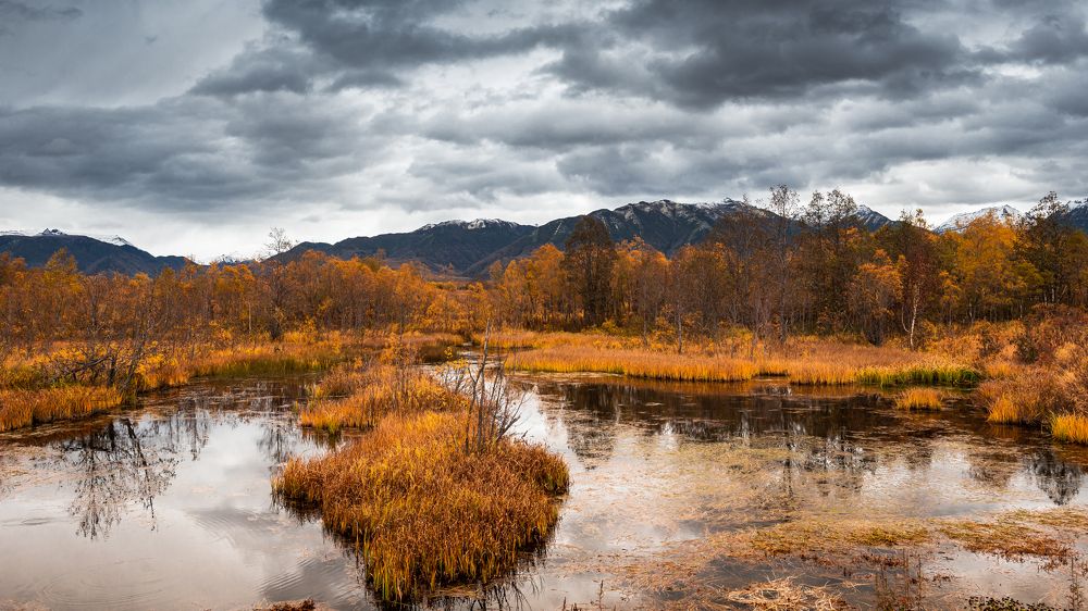 Photograph by Евгений Житников