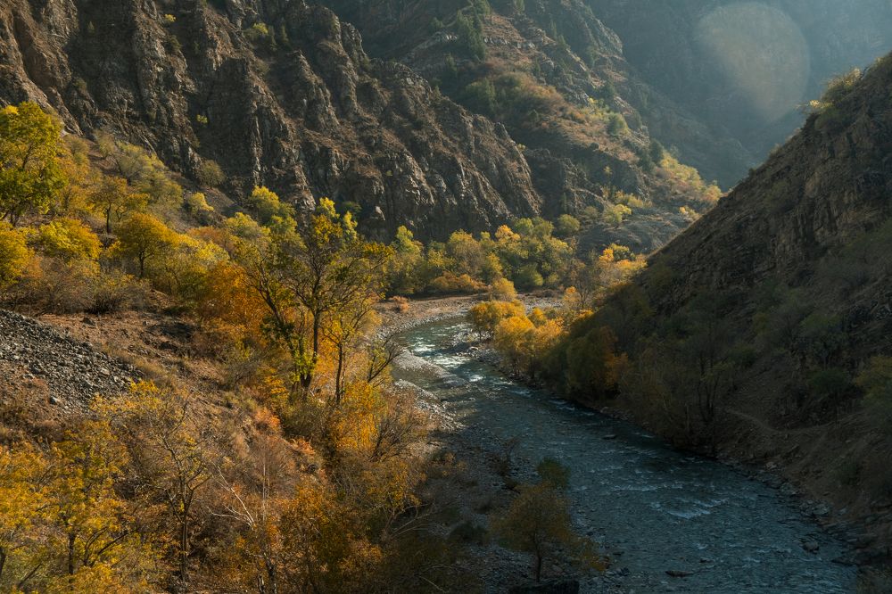 Photograph by Дильмурад Ахмедов