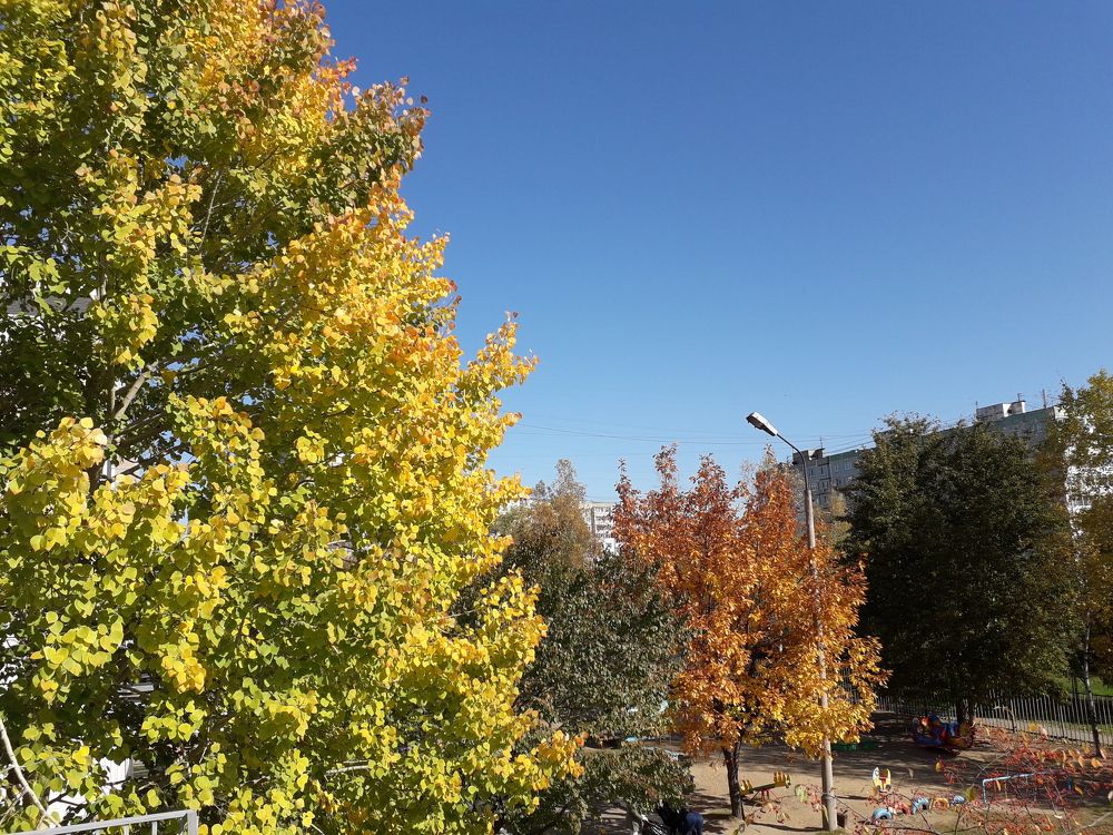 Photograph by  Людмила