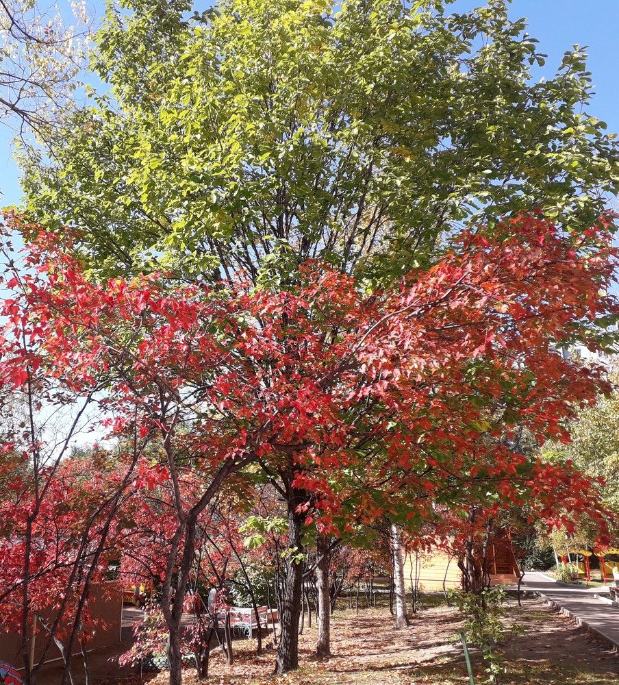 Photograph by  Людмила