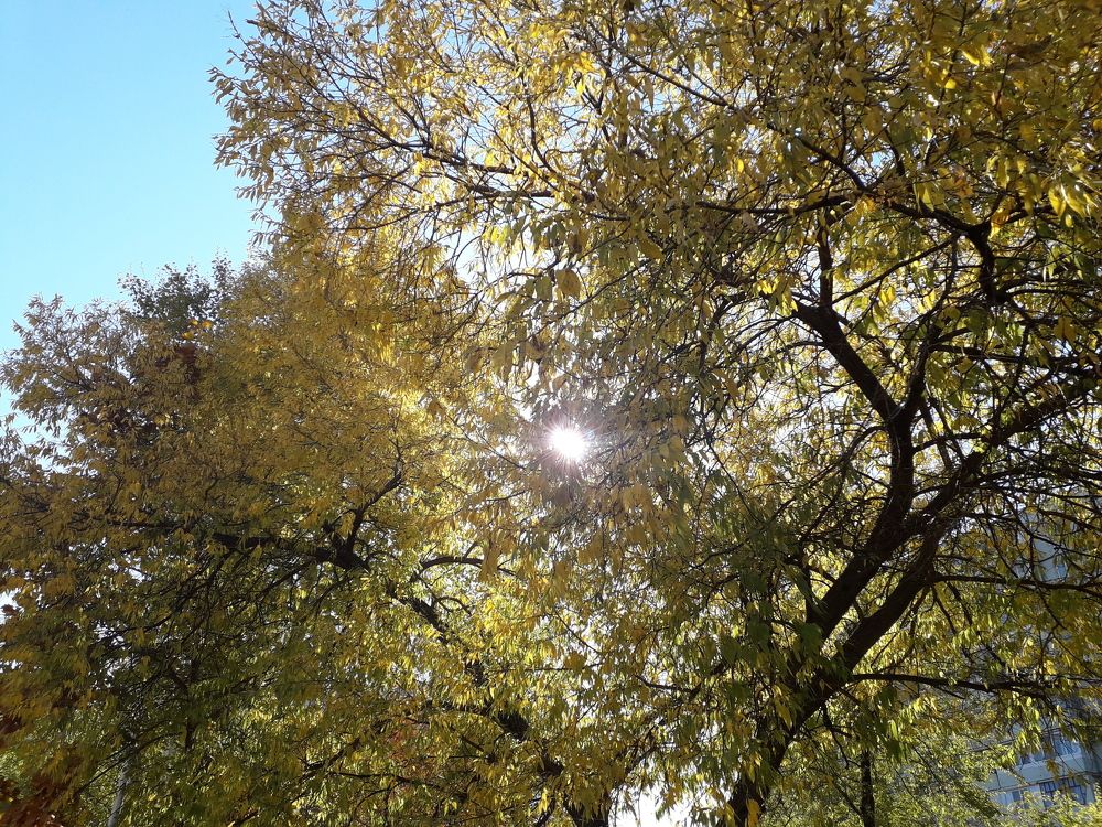 Photograph by  Людмила