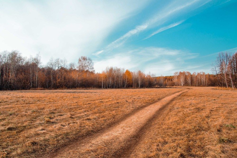 Photograph by Анатолий Мосяков
