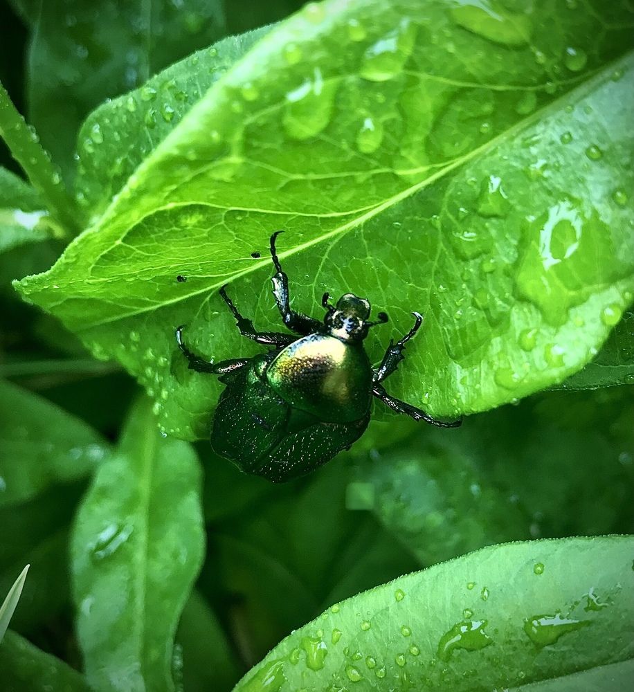Photograph by Шестакова Наталья