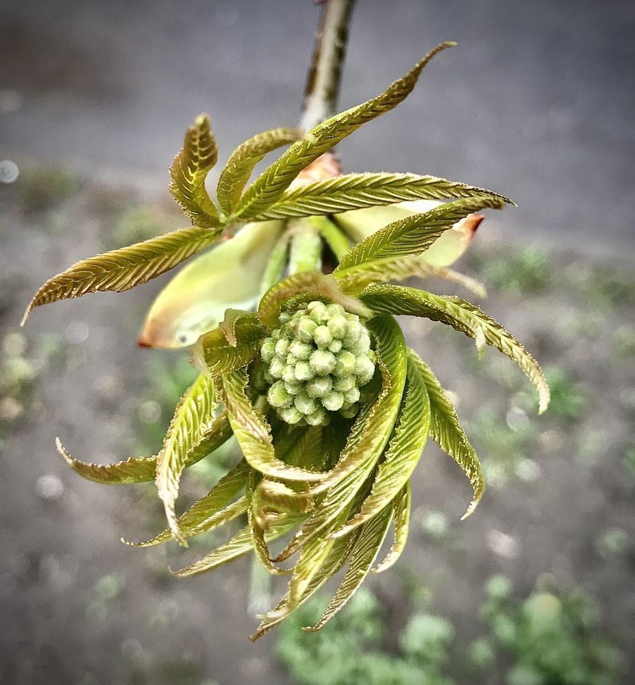 Photograph by Шестакова Наталья