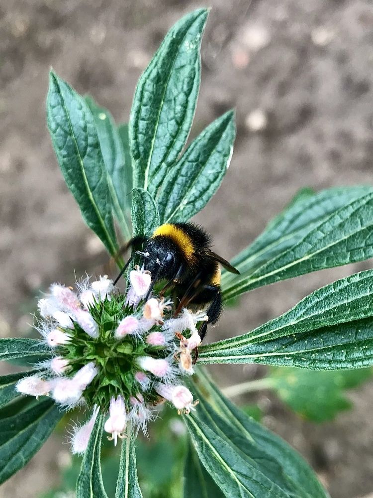 Photograph by Шестакова Наталья