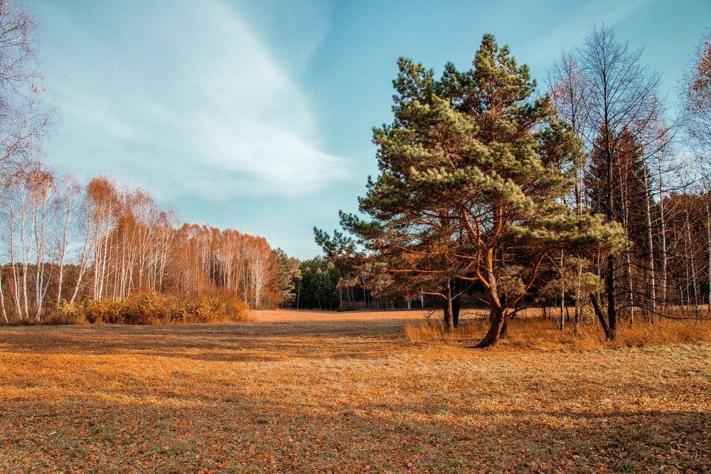 Photograph by Анатолий Мосяков