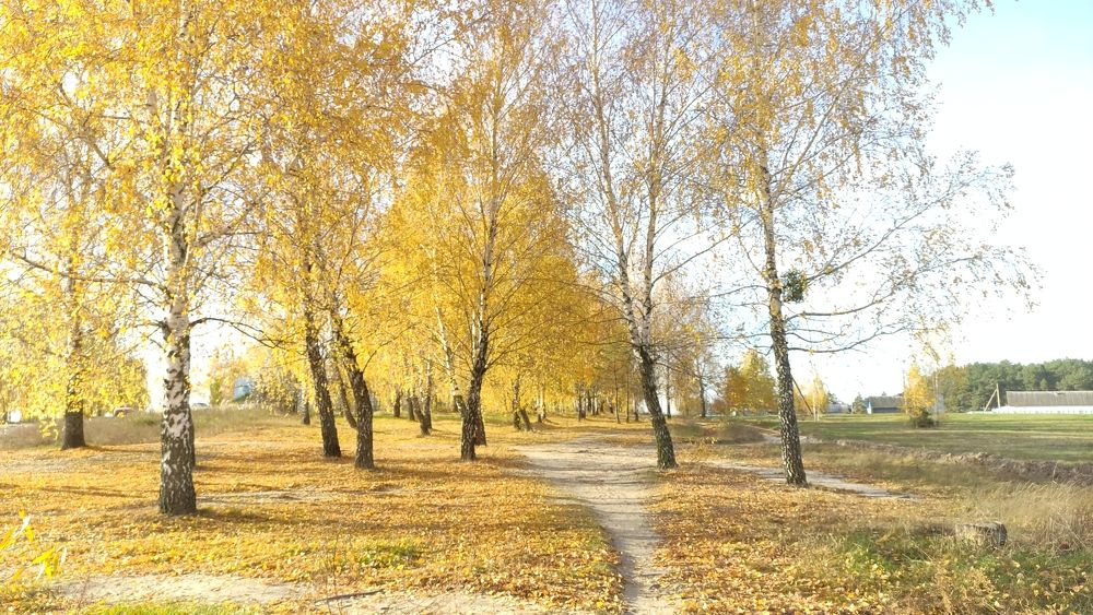 October...