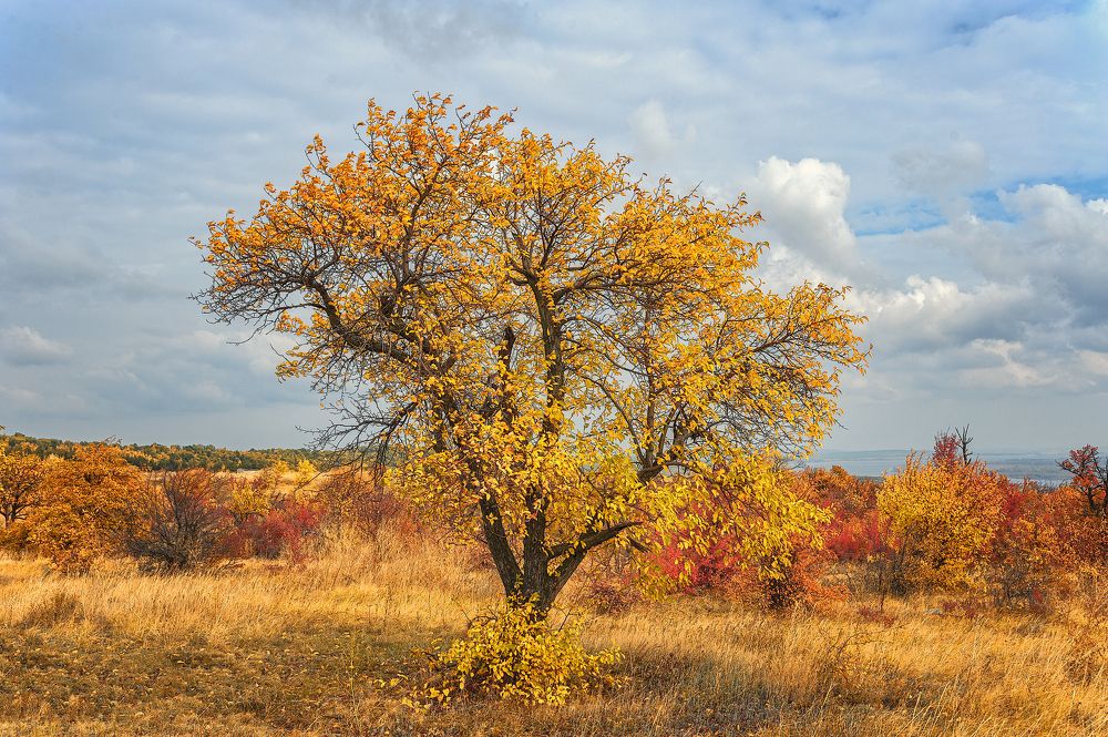 Фотография автора Андрей Лепилин