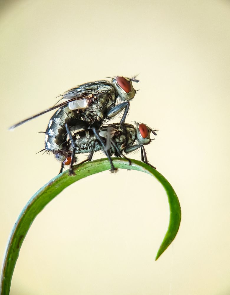 Photograph by Milan Bag
