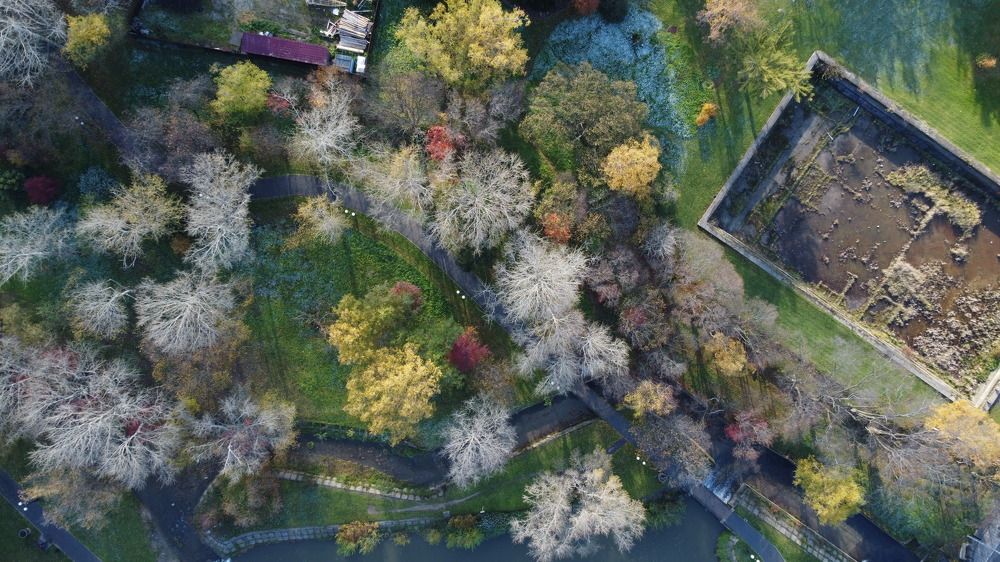 Фотография автора Станислав Ермолин