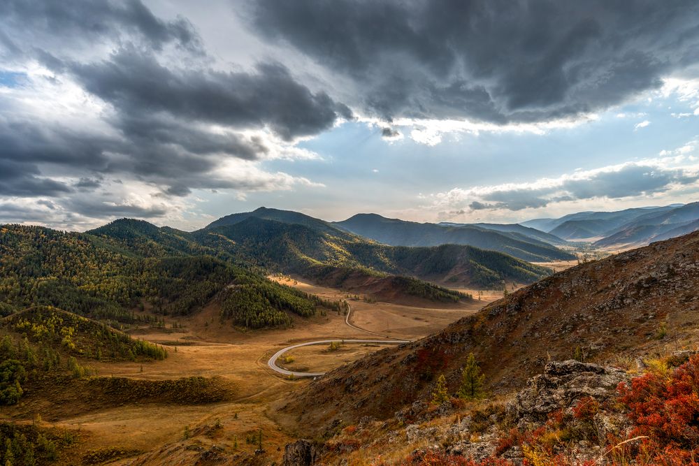 Photograph by Кассандра Мареева