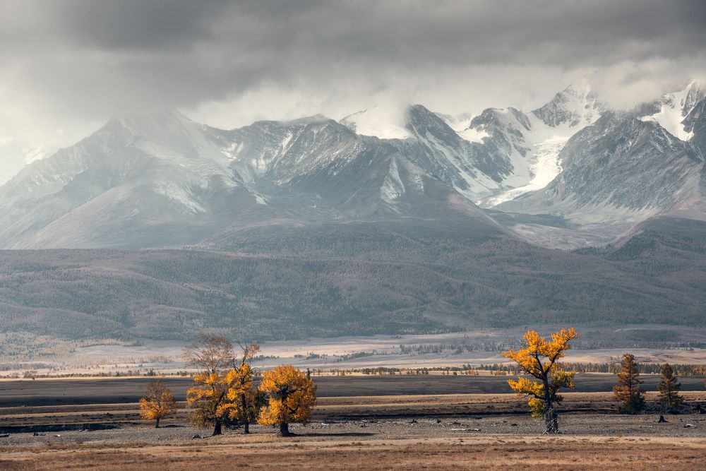 Photograph by Кассандра Мареева