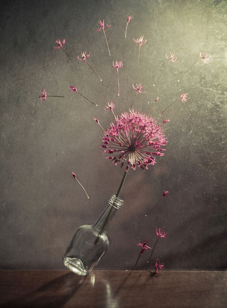 Photograph by Владимир Жуков