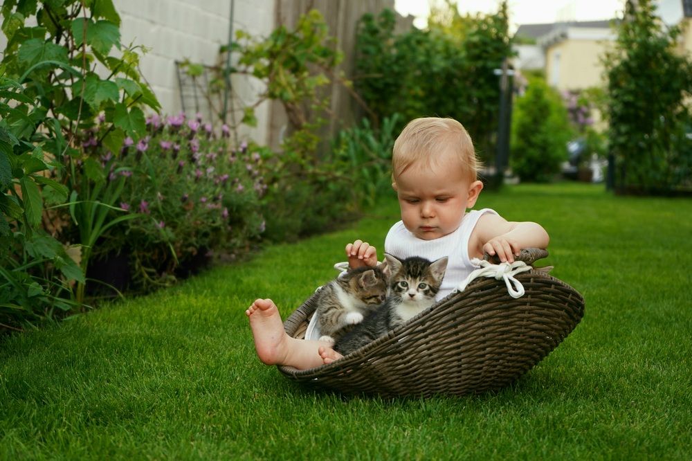 Малыши в корзинке