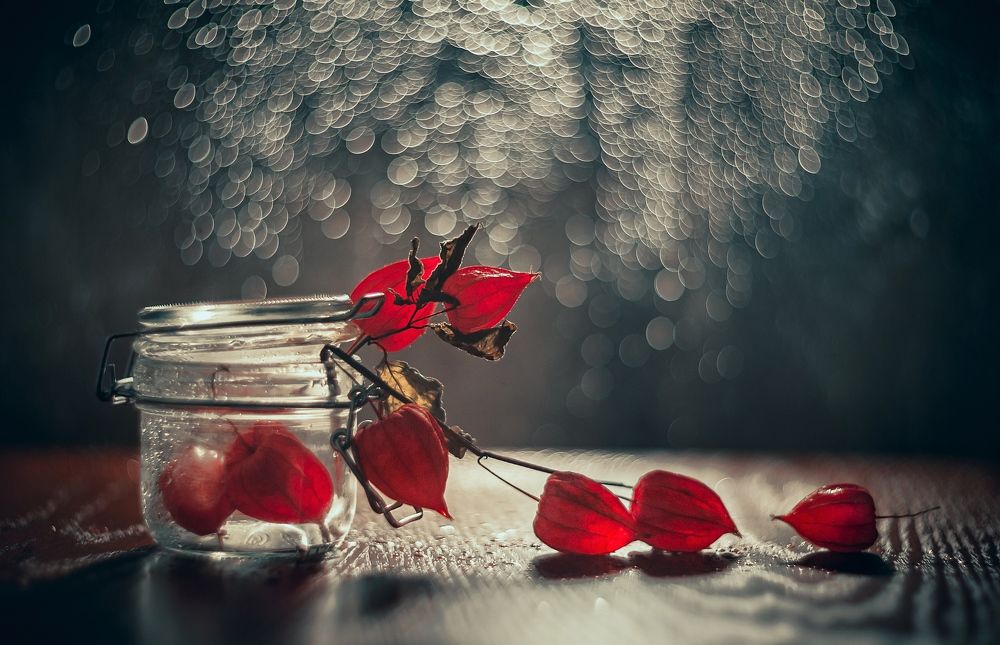 Photograph by Владимир Жуков