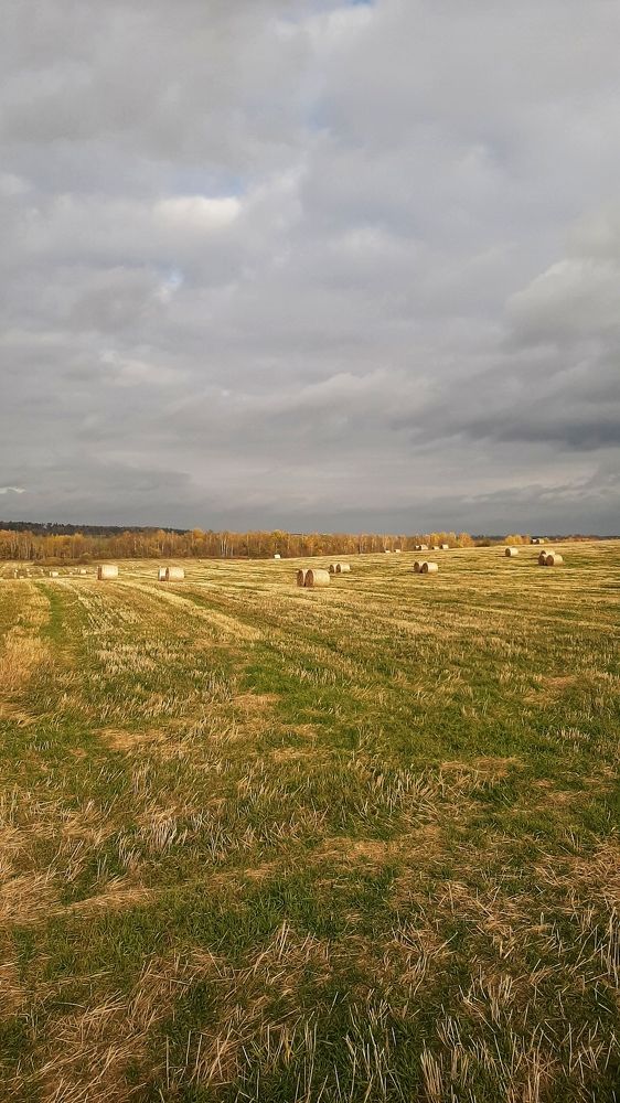 Photograph by Katsiaryna Feaktsistava