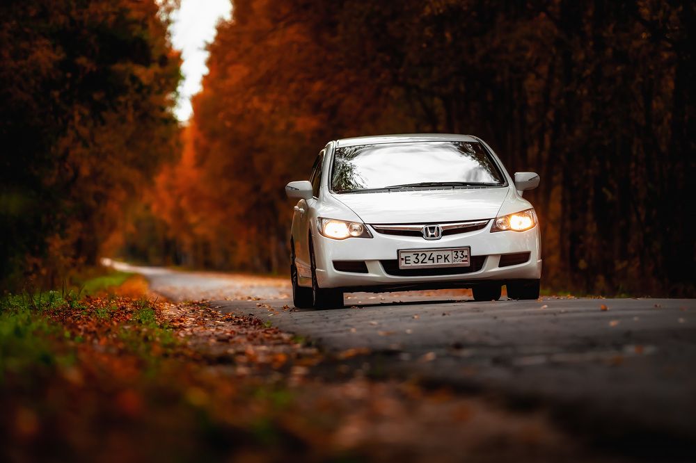 Photograph by Дмитрий Сдобин