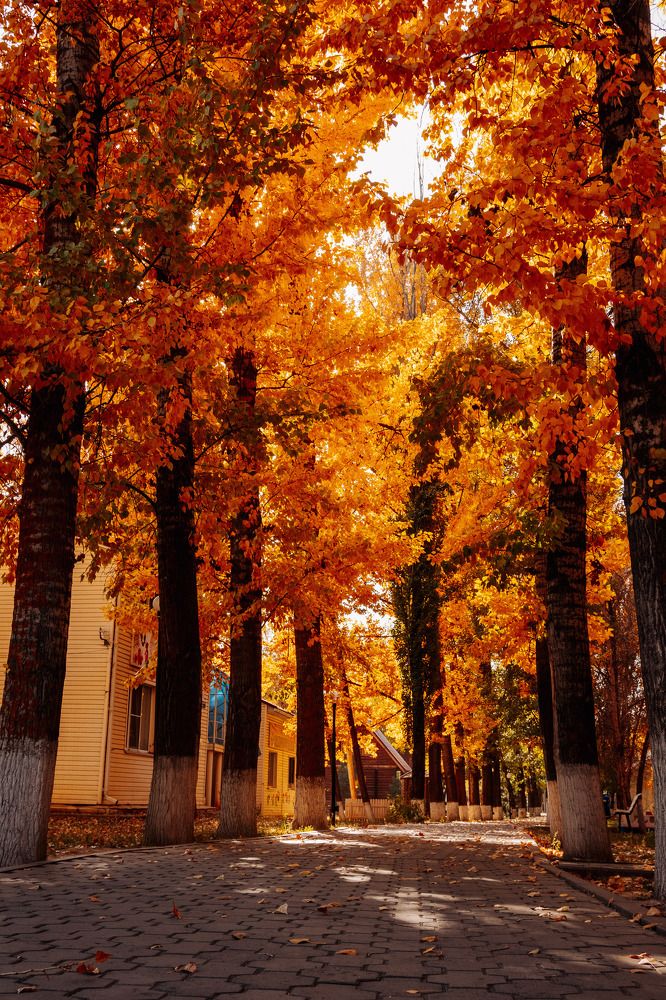 Photograph by Эльвира Грызлова