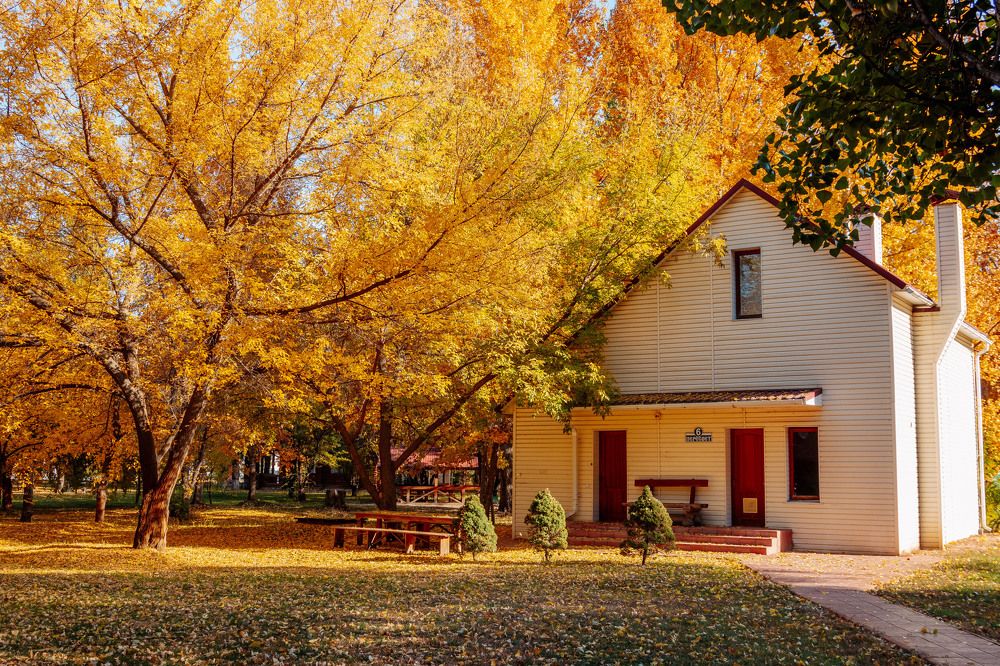 Photograph by Эльвира Грызлова