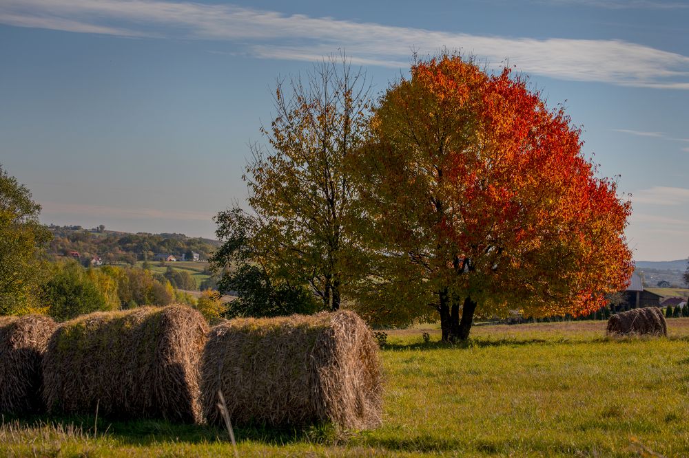 Photograph by Marcin Nalepka
