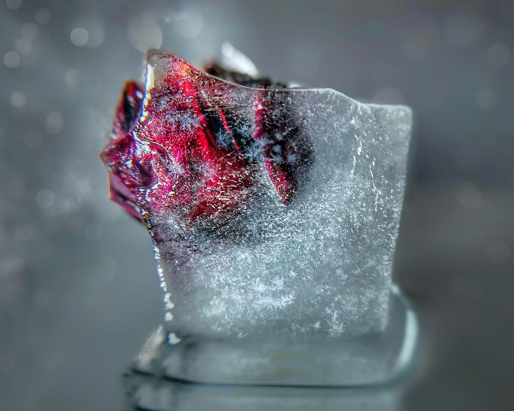 Photograph by Оксана Маракушина